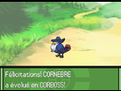 https://image.noelshack.com/fichiers/2012/25/1340372861-cor.png