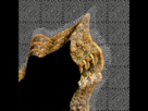 https://image.noelshack.com/fichiers/2012/25/1340372863-1340370474294.gif