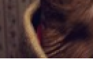 https://image.noelshack.com/fichiers/2012/25/1340372869-0e1b9de80459ae19e1f28605c0029386.png