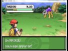 https://image.noelshack.com/fichiers/2012/25/1340386771-Raikou.png