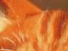 https://image.noelshack.com/fichiers/2012/25/1340390743-----NOELMOSAIC----fc243f58bbad7766aeda365e26c428d8.png