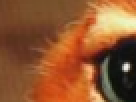 https://image.noelshack.com/fichiers/2012/25/1340390766-----NOELMOSAIC----a3fc36576ea30dde30070de3c1ef61e1.png