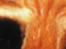 https://image.noelshack.com/fichiers/2012/25/1340390767-----NOELMOSAIC----a116bfc92daf92b24d1ca3eaffdabc28.png
