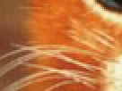 https://image.noelshack.com/fichiers/2012/25/1340390789-----NOELMOSAIC----97fb439f25e9843d1062de57e44bac3a.png