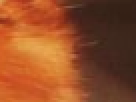 https://image.noelshack.com/fichiers/2012/25/1340390790-----NOELMOSAIC----bad940d958546be8e3244433cd4b89ac.png
