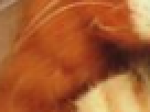 https://image.noelshack.com/fichiers/2012/25/1340390791-----NOELMOSAIC----689ade69cd9b9d1469d108b887a40ad2.png