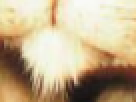 https://image.noelshack.com/fichiers/2012/25/1340390791-----NOELMOSAIC----95d6b0a5dbc1d0e3227bf49aadc40b38.png