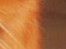 https://image.noelshack.com/fichiers/2012/25/1340390812-----NOELMOSAIC----c55ab4cccc152b15b9d141071a30a92d.png