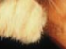https://image.noelshack.com/fichiers/2012/25/1340390813-----NOELMOSAIC----0f399cff1e9bdaa0719831eacfc44b0c.png