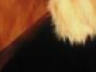 https://image.noelshack.com/fichiers/2012/25/1340390813-----NOELMOSAIC----871898e2cc975e53decf7c9e8da7066b.png