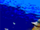 https://image.noelshack.com/fichiers/2012/25/1340393609-62890755.png