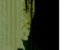 https://image.noelshack.com/fichiers/2012/25/1340393613-652365642.png
