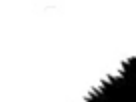 https://image.noelshack.com/fichiers/2012/25/1340396305-450330127.png