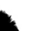 https://image.noelshack.com/fichiers/2012/25/1340396305-973395905.png