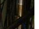 https://image.noelshack.com/fichiers/2012/25/1340419658-----NOELMOSAIC----571bb4ca2d7552480f1605e5640b209d.png