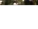 https://image.noelshack.com/fichiers/2012/25/1340419784-----NOELMOSAIC----7e6e9ff4447299435a52465e74c0d4f3.png