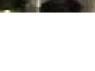 https://image.noelshack.com/fichiers/2012/25/1340419784-----NOELMOSAIC----f05dd250b6f091a7185767062c2fd891.png