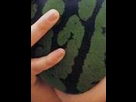 https://image.noelshack.com/fichiers/2012/25/1340447689-E7S2twww.imagesplitter.net-3-1.jpeg