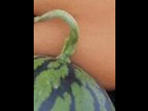 https://image.noelshack.com/fichiers/2012/25/1340447950-E7S2twww.imagesplitter.net-5-3.jpeg