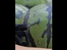 https://image.noelshack.com/fichiers/2012/25/1340447986-E7S2twww.imagesplitter.net-5-5.jpeg