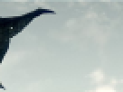 https://image.noelshack.com/fichiers/2012/25/1340462524-----NOELMOSAIC----5c67dc0bea1a51f90a190a8aaacee97c.png