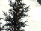 https://image.noelshack.com/fichiers/2012/25/1340462546-----NOELMOSAIC----b7105cc4771f214a965e1cd65ee2b973.png
