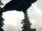 https://image.noelshack.com/fichiers/2012/25/1340462547-----NOELMOSAIC----8fbaa00e97936632623a0d40c822fc2b.png
