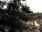 https://image.noelshack.com/fichiers/2012/25/1340462548-----NOELMOSAIC----5f1f432d0c5de524fbace57c120b33ea.png