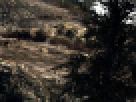 https://image.noelshack.com/fichiers/2012/25/1340462548-----NOELMOSAIC----f372bbfeabdb2f7891ac55dc26699218.png