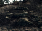 https://image.noelshack.com/fichiers/2012/25/1340462570-----NOELMOSAIC----5e2d4c3082343d77595798303b83ec48.png
