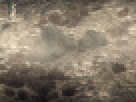 https://image.noelshack.com/fichiers/2012/25/1340462571-----NOELMOSAIC----141b8766c80ed21b19331048f48d6770.png