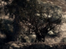 https://image.noelshack.com/fichiers/2012/25/1340462571-----NOELMOSAIC----a064664d8a11a203e03a72d738234141.png
