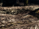 https://image.noelshack.com/fichiers/2012/25/1340462572-----NOELMOSAIC----32024bd2d42046171427b7ae33bb6295.png