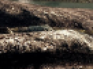 https://image.noelshack.com/fichiers/2012/25/1340462593-----NOELMOSAIC----5d2d4cb6a44264dac8952e34f0581b8e.png