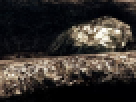 https://image.noelshack.com/fichiers/2012/25/1340462593-----NOELMOSAIC----a20ff2583a78f9d10e05ff6ed661ca83.png