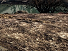 https://image.noelshack.com/fichiers/2012/25/1340462594-----NOELMOSAIC----70bd5bdcb1f32f58c37a835407e093c4.png