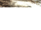 https://image.noelshack.com/fichiers/2012/25/1340462595-----NOELMOSAIC----873260acb8f25bae3dc96dc6174a0ae8.png