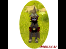 https://image.noelshack.com/fichiers/2012/26/1340643933-Orokasai.png