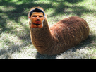 https://image.noelshack.com/fichiers/2012/26/1340650489-ronalsticot.jpg