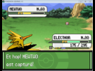 https://image.noelshack.com/fichiers/2012/26/1340658877-CaptureMewtwo.png