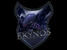 https://image.noelshack.com/fichiers/2012/26/1340756238-blason-ekynox-320c814.png