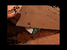 https://image.noelshack.com/fichiers/2012/26/1340827615-test.gif