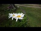 https://image.noelshack.com/fichiers/2012/27/1341331867-2012-07-03-0039.jpg