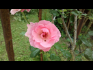 https://image.noelshack.com/fichiers/2012/27/1341331977-2012-07-03-0049.jpg