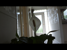 https://image.noelshack.com/fichiers/2012/27/1341332480-2012-07-03-0078.jpg