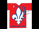 https://image.noelshack.com/fichiers/2012/27/1341375136-chandail.png