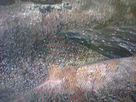 https://image.noelshack.com/fichiers/2012/27/1341577791-Photo0187.jpg
