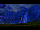 https://image.noelshack.com/fichiers/2012/28/1341936775-Aion0324.jpg