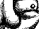 https://image.noelshack.com/fichiers/2012/28/1341973116-253161010.png