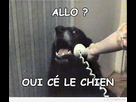 https://image.noelshack.com/fichiers/2012/28/1342112694-iPhone-image-07-12-2012..jpg
